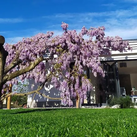 Apartament Casa Miranda - Family Comfort In A Quiet Area, Near The Sea, With Bbq And Free Parking Zgornje Skofije