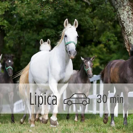 Casa Miranda - Family Comfort In A Quiet Area, Near The Sea, With Bbq And Free Parking