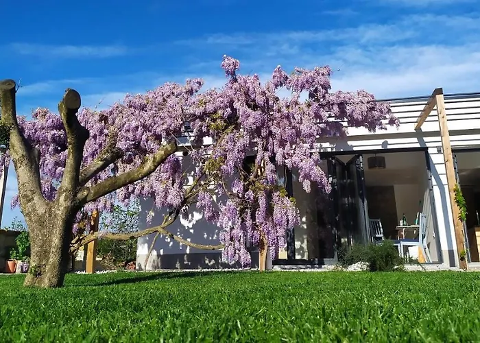 Appartamento Casa Miranda - Family Comfort In A Quiet Area, Near The Sea, With Bbq And Free Parking Zgornje Skofije