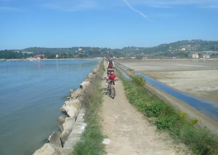 Appartamento Casa Miranda - Family Comfort In A Quiet Area, Near The Sea, With Bbq And Free Parking Zgornje Skofije