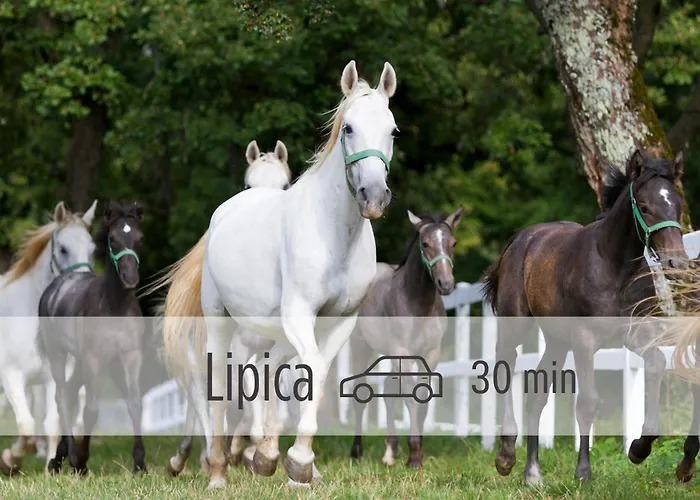 Casa Miranda - Family Comfort In A Quiet Area, Near The Sea, With Bbq And Free Parking