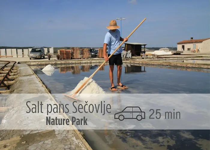 Casa Miranda - Family Comfort In A Quiet Area, Near The Sea, With Bbq And Free Parking Appartamento *