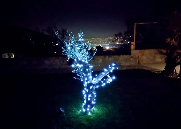 Casa Miranda - Family Comfort In A Quiet Area, Near The Sea, With Bbq And Free Parking *